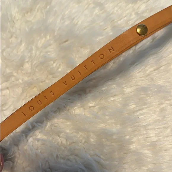 Louis Vuitton RARE Pochette Florentine Monogram Shoulder Bag - Picture 10 of 11